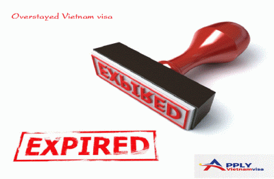 Overstaying in Vietnam. What should I do?
