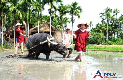 Hoi An: Community tourism attracts foreign visitors