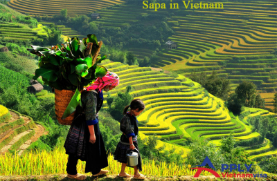 The reasons why you should visit Sapa