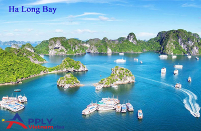 7 things you should know before taking a tour in Ha Long Bay