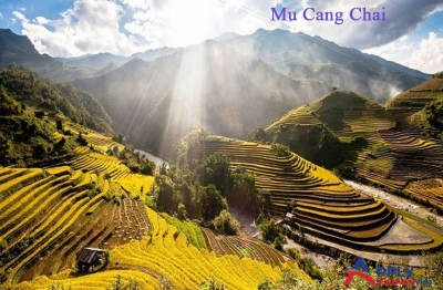 Mu Cang Chai, an attractive destination for visitors