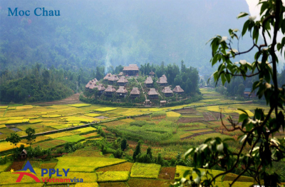 Best places to visit in Moc Chau, Son La Province