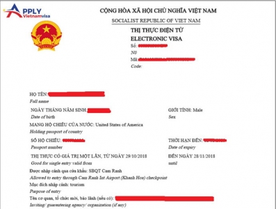Vietnam E-visa 2020 from JULY 1st, 2020